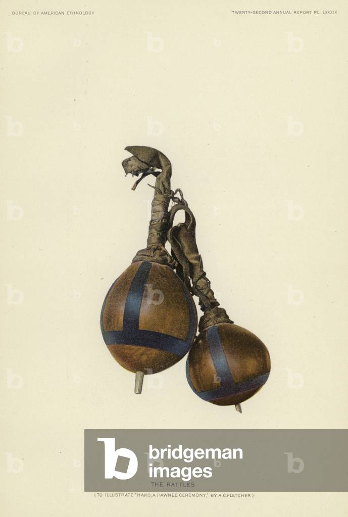 The rattles (colour litho)