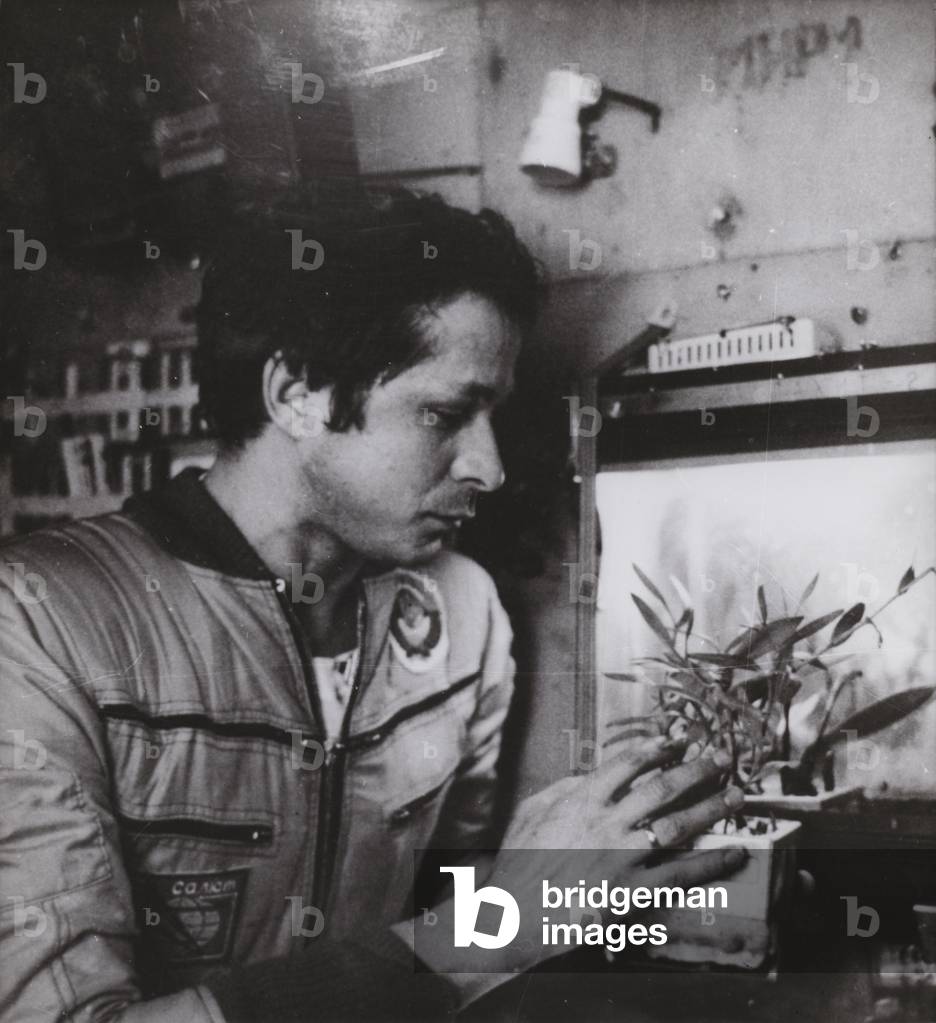 Growing orchids on board the Soviet Salyut 6 space station (b/w photo)