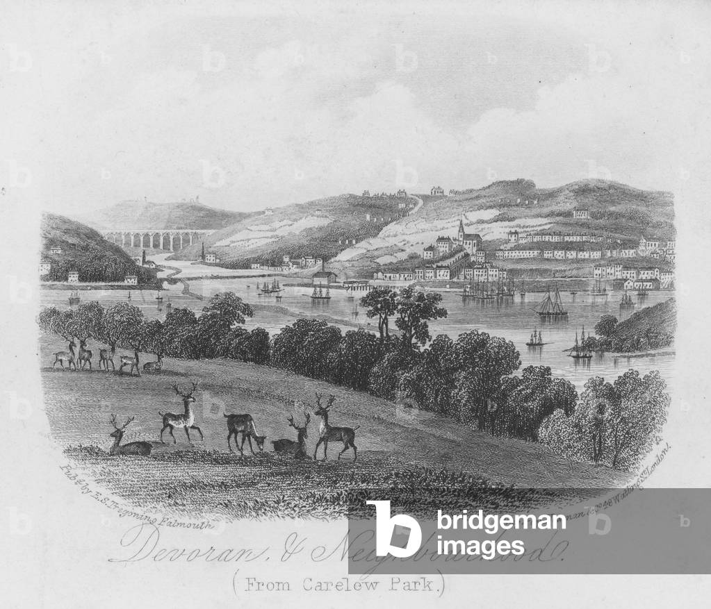 Devoran and Neighbourhood (engraving)