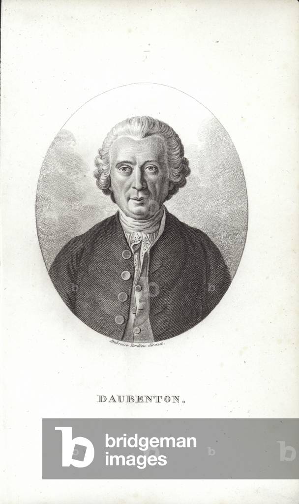 Louis-Jean-Marie Daubenton (engraving)