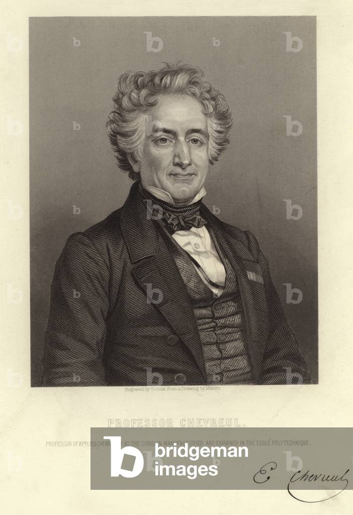 Professor Chevreul (engraving)