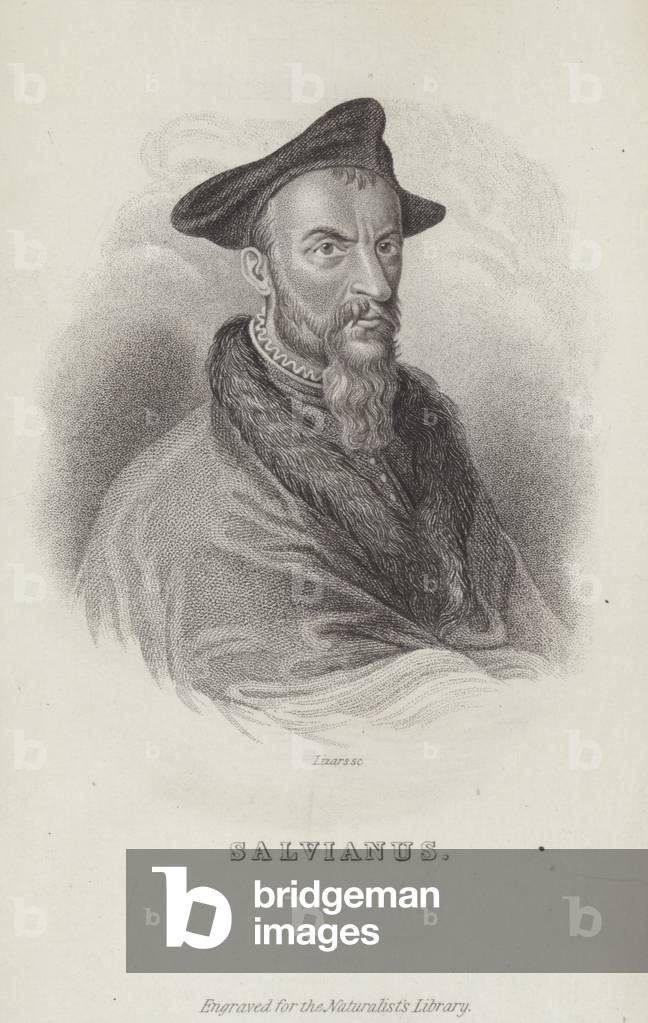 Hippolito Salviani, Italian naturalist (engraving)