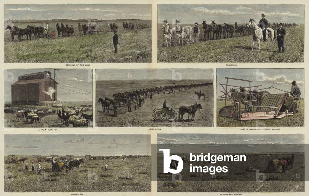 Farming on the plains of North America (coloured engraving)