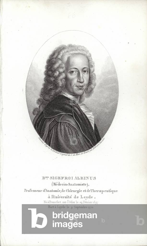 Bernhard Siegfried Albinus (engraving)