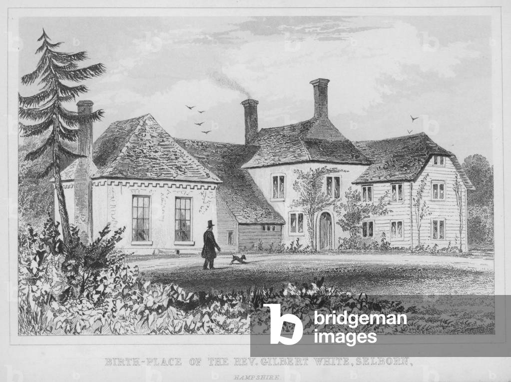 Birth-Place of the Rev Gilbert White, Selborn, Hampshire (engraving)