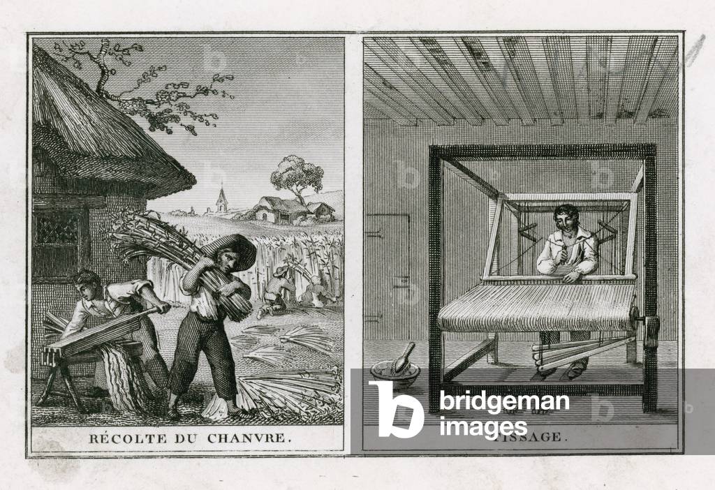 Harvesting hemp and weaving hemp (engraving)