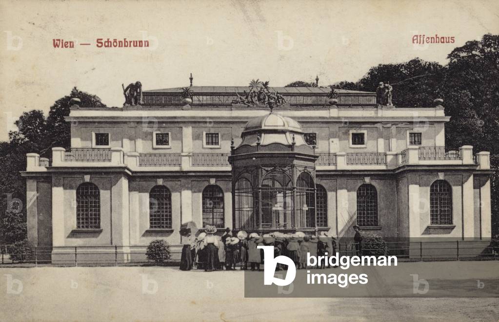 Postcard depicting the Ape House of the Tiergarten Schonbrunn (b/w photo)