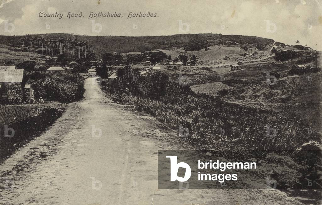 Country road, Bathsheba, Barbados (b/w photo)