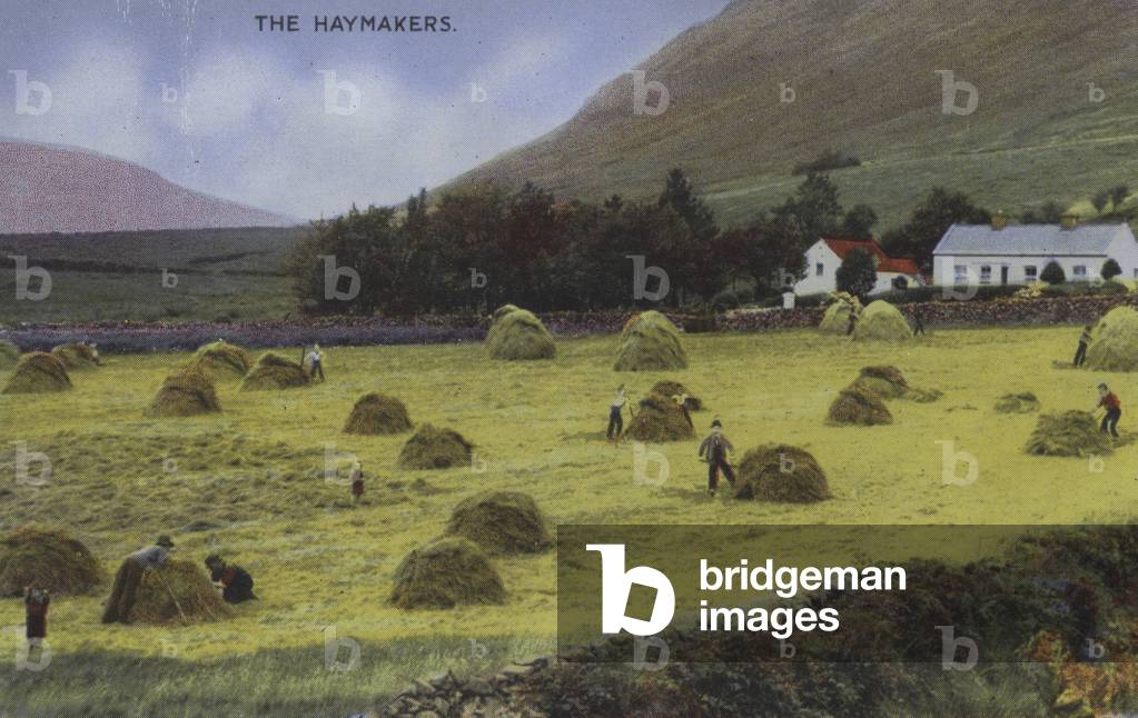 Haymakers, haymaking (photo)