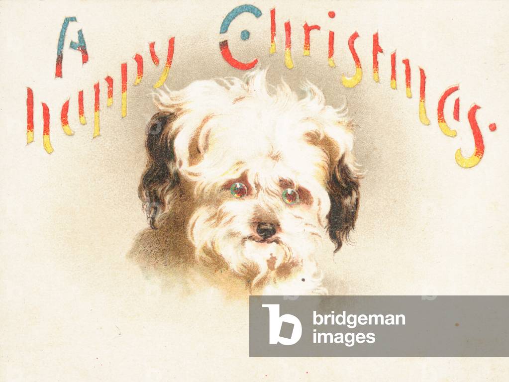 Cute Dog! Christmas Card (chromolitho)