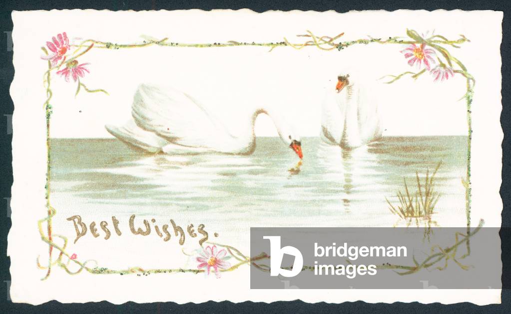 Swans on Lake, Christmas Card (chromolitho)