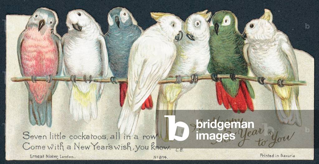 Cockatoos, New Year Card (chromolitho)
