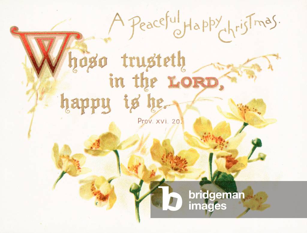 Wild Roses, Christmas Card (chromolitho)