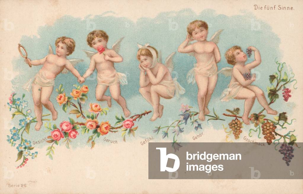 The Five Senses (colour litho)