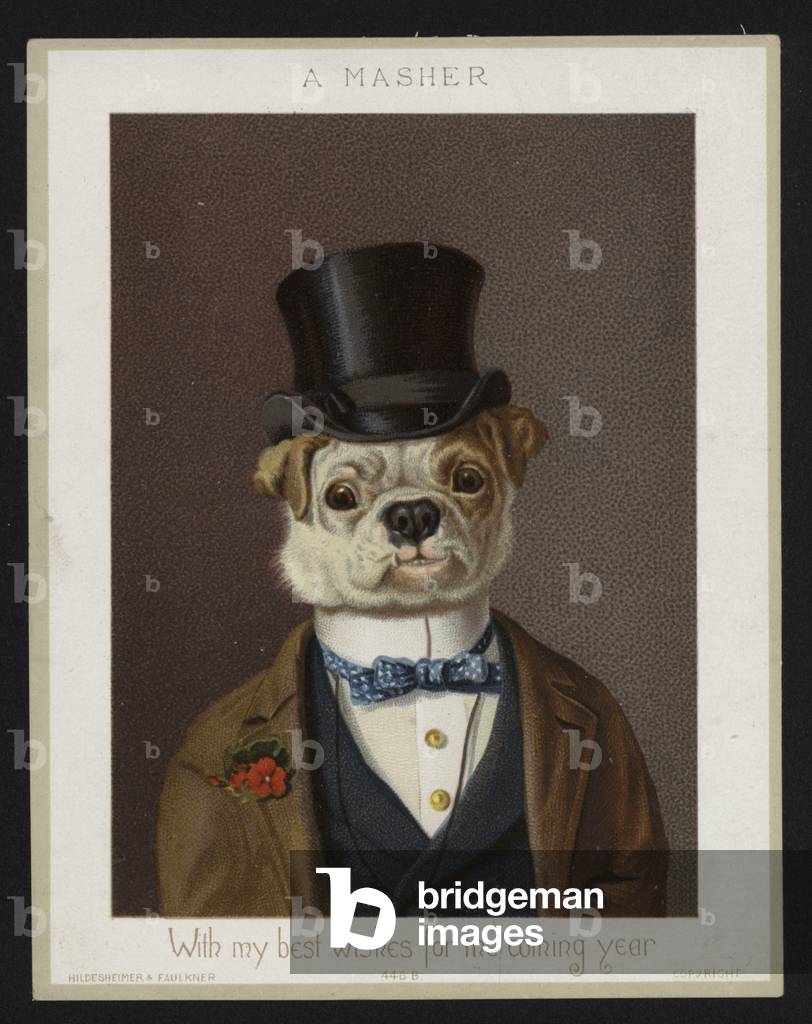 A Masher, Anthropomorphic dog, New Years Greeting Card (chromolitho)