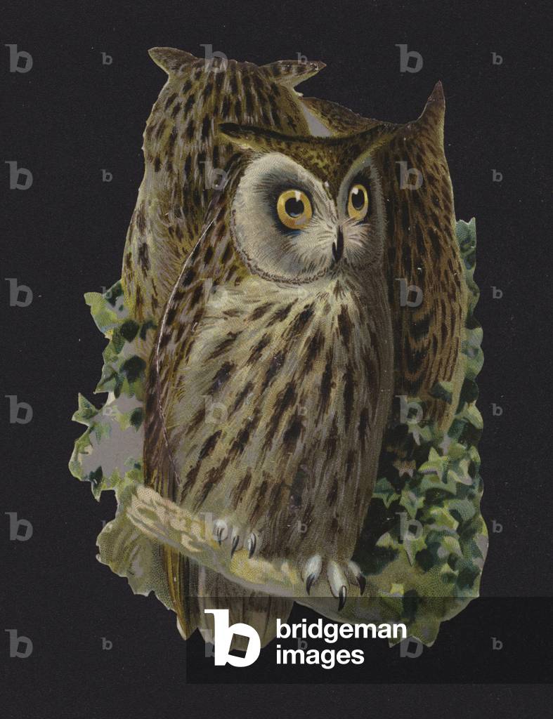 Owls (chromolitho)