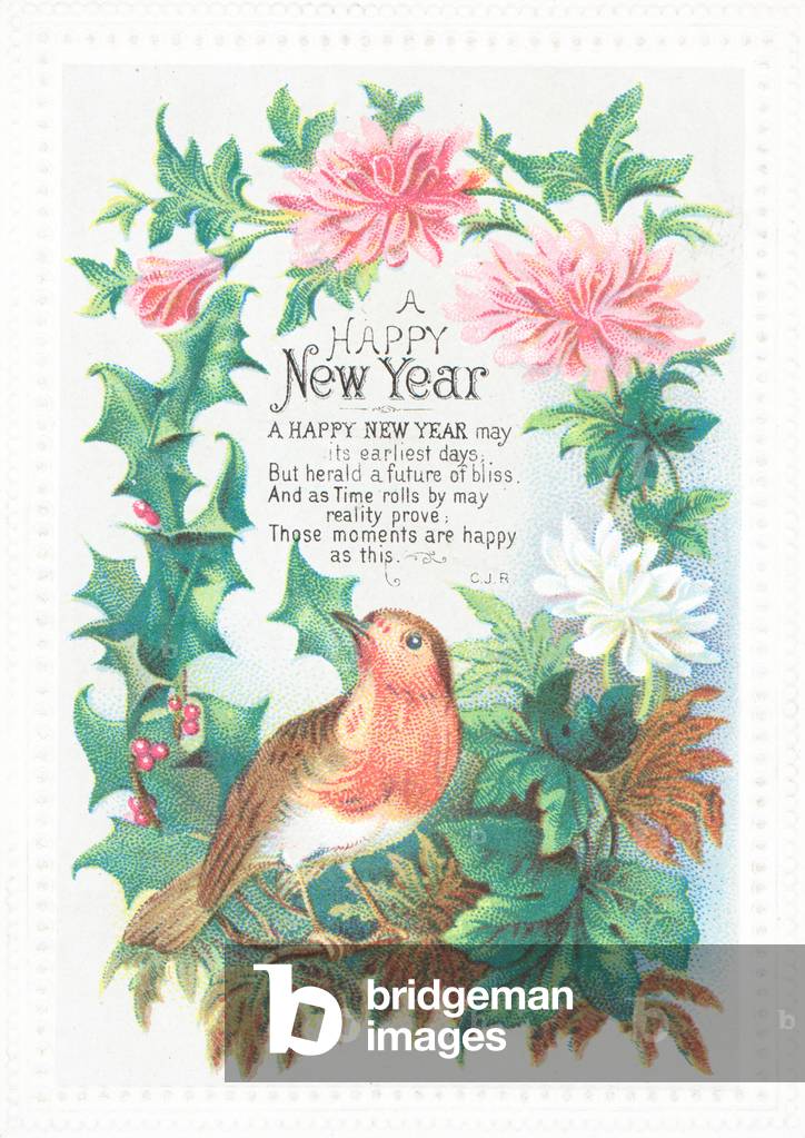 Robin and flowers, New Year Card (chromolitho)