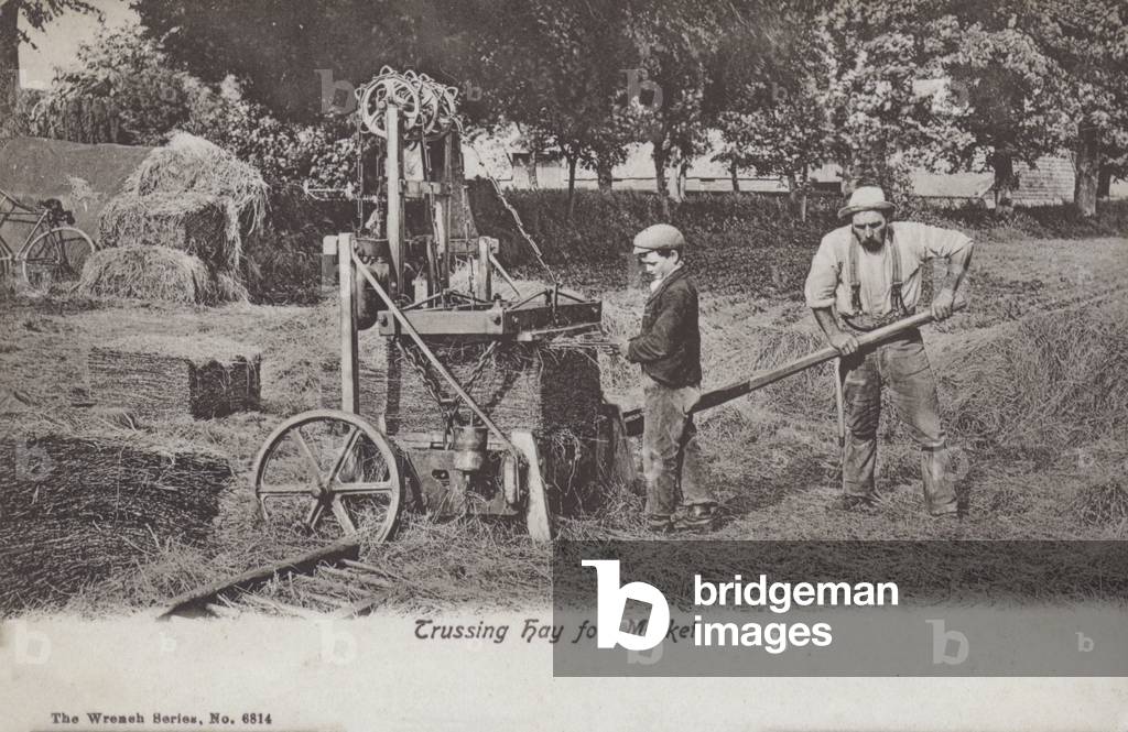 Farmer trussing hay for market (b/w photo)