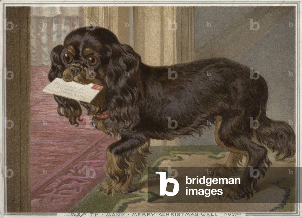 Dog carrying a letter in its mouth (chromolitho)