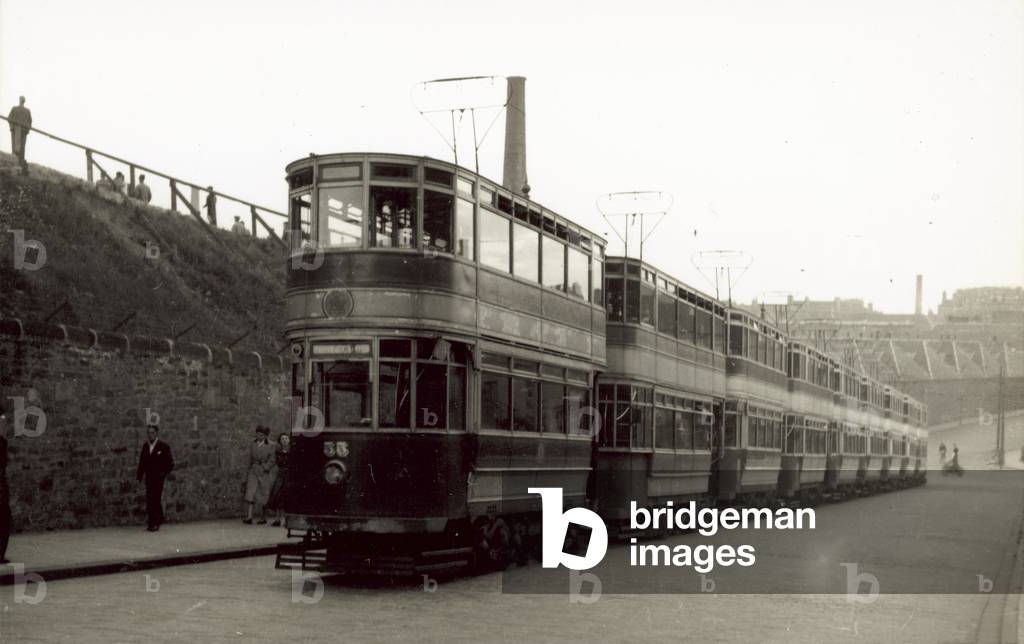 Trams (b/w photo)