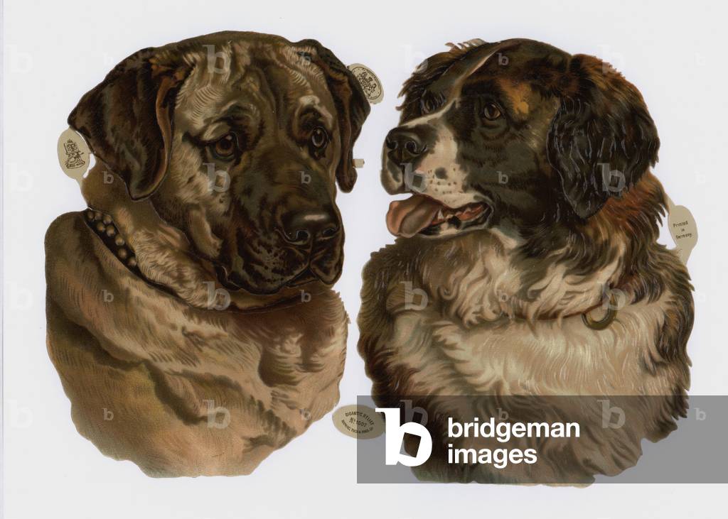 Victorian scraps (chromolitho)