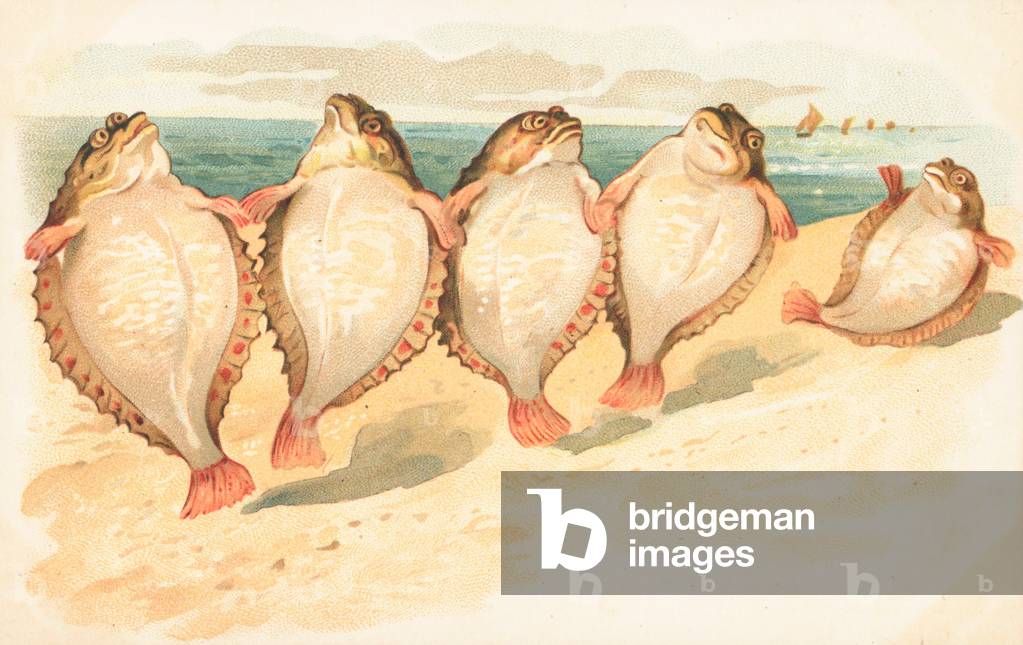 Five flatfish dancing on a beach (colour litho)