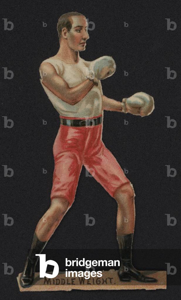Middle Weight Boxer (chromolitho)