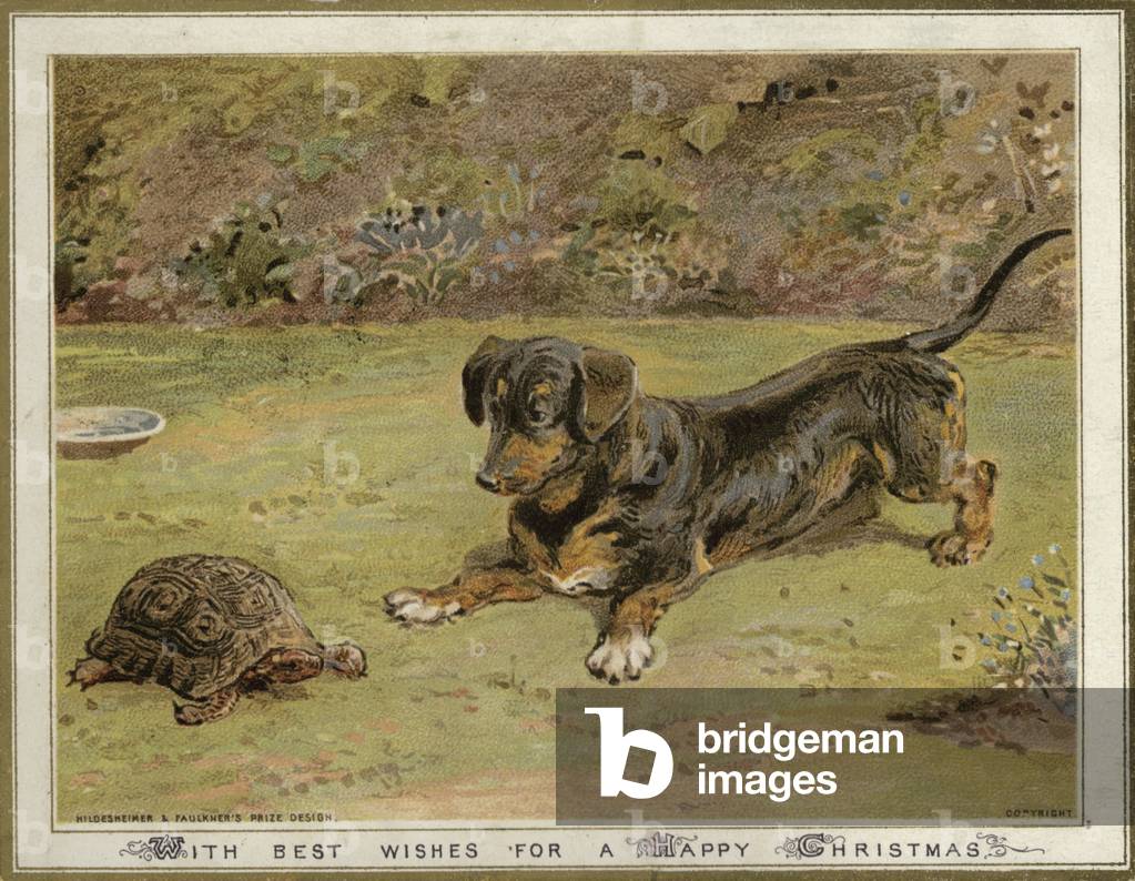 Dog and tortoise (chromolitho)
