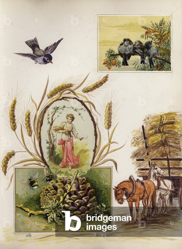 Page from late Victorian scrapbook (multimedia)