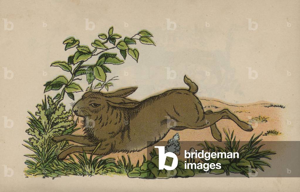 Page from the Magical Book (colour litho)