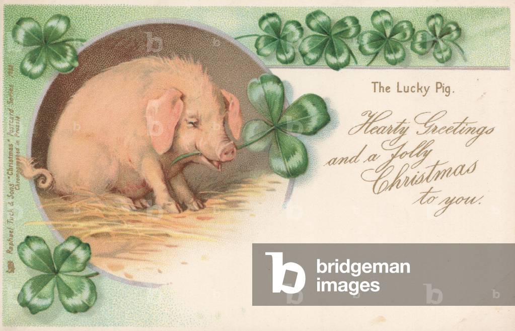 Pig in clover (chromolitho)
