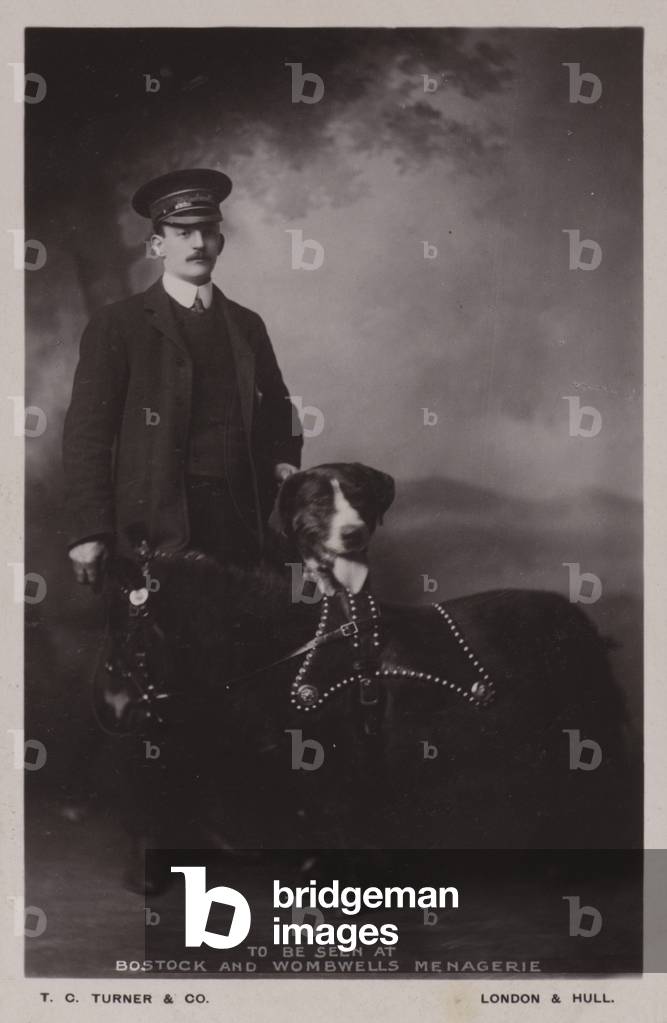 To be seen at Bostock and Wombwell's Menagerie (b/w photo)