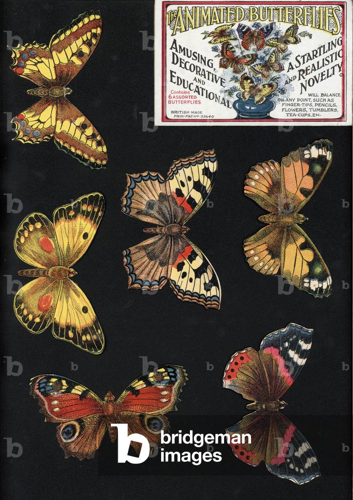 The Animated Butterflies, Amusing, Decorative and Educational, A Startling and Realistic Novelty (colour litho)