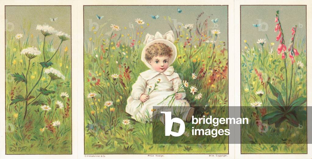 Young Child sitting in flower meadow, Christmas Card (chromolitho)