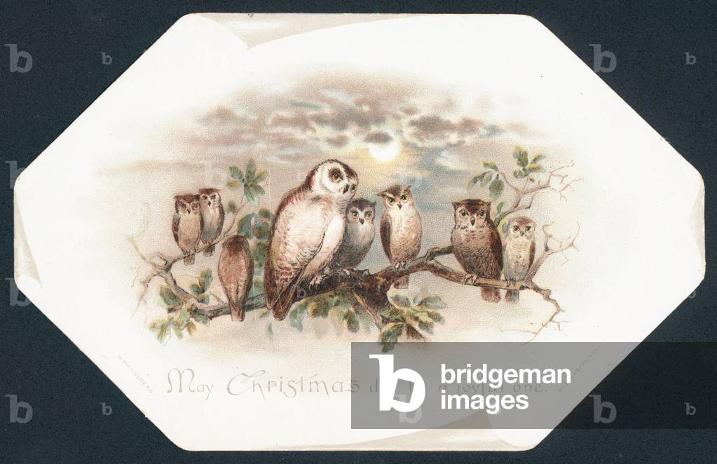 Owls sitting on a tree branch, Christmas Card (chromolitho)