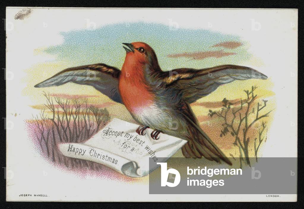 Robin with a Christmas message, greetings card. (chromolitho)