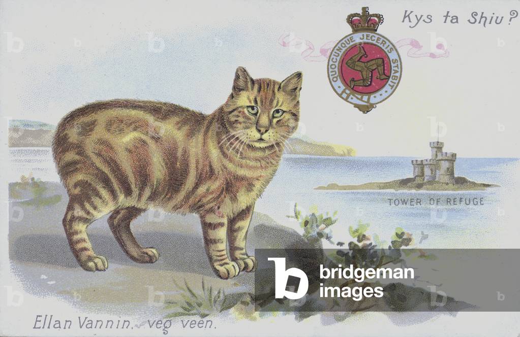 Manx Cat and the Tower of Refuge, Isle of Man (chromolitho)