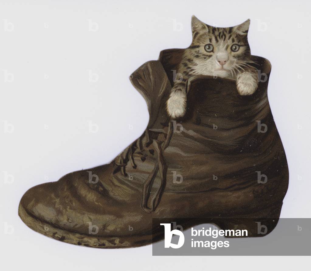 Kitten in a boot (colour litho)