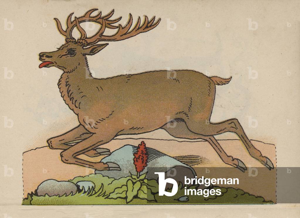 Page from the Magical Book (colour litho)