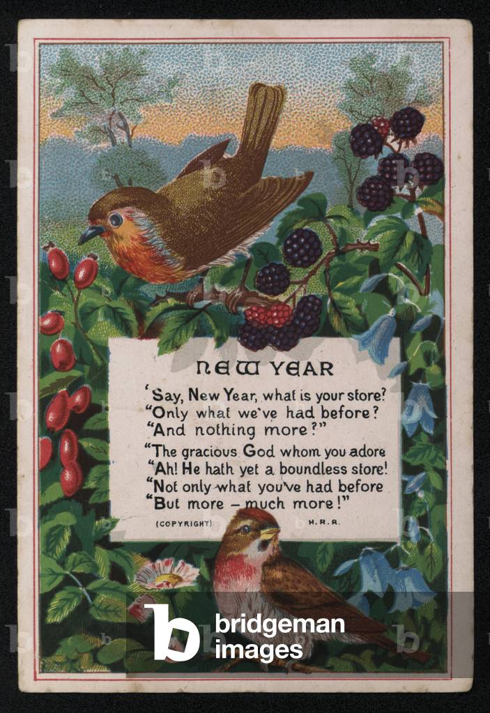 Verse, berries and birds, New Year's greetings card. (chromolitho)