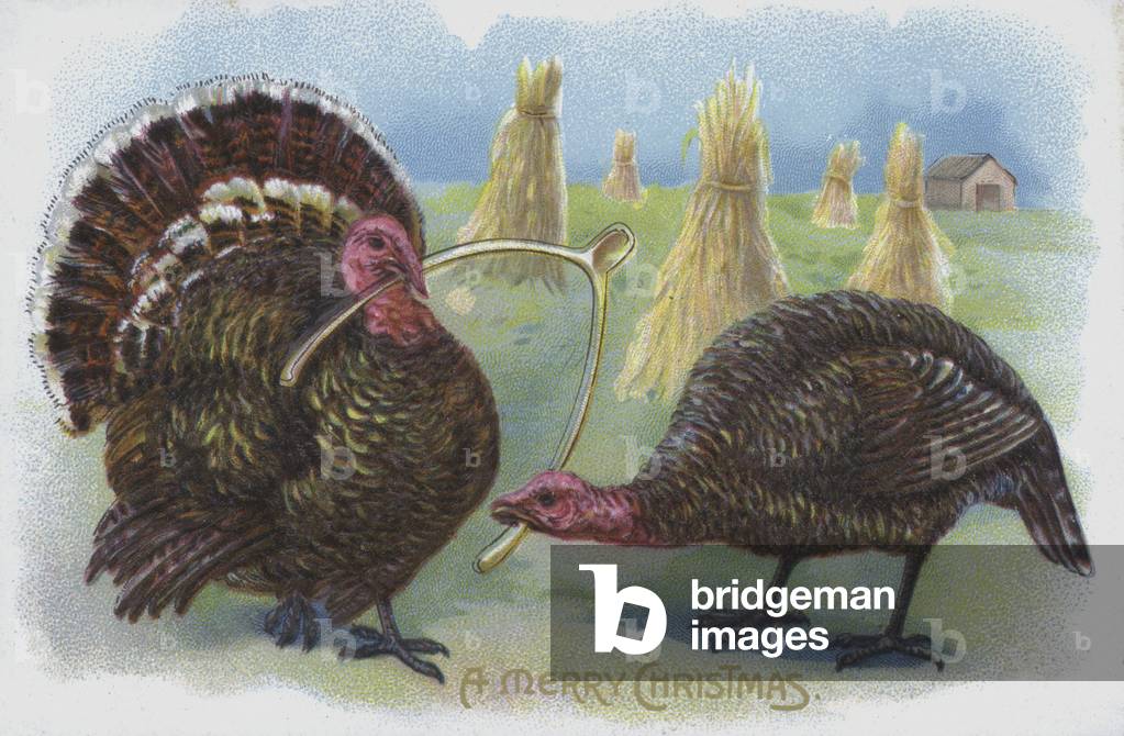 Christmas greetings card depicting two turkeys pulling a wishbone (chromolitho)