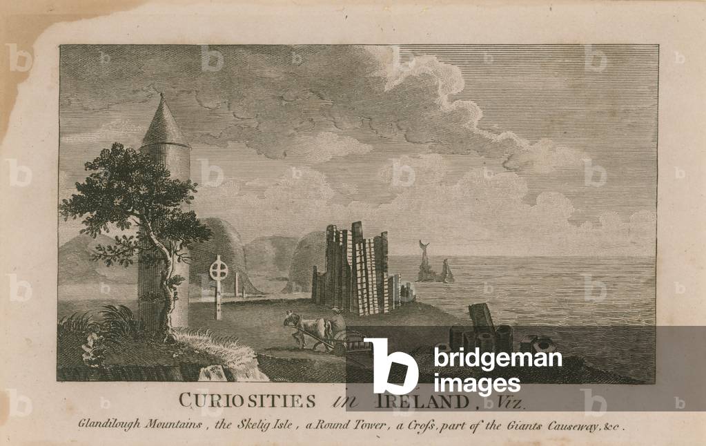 Curiosities in Ireland (engraving)