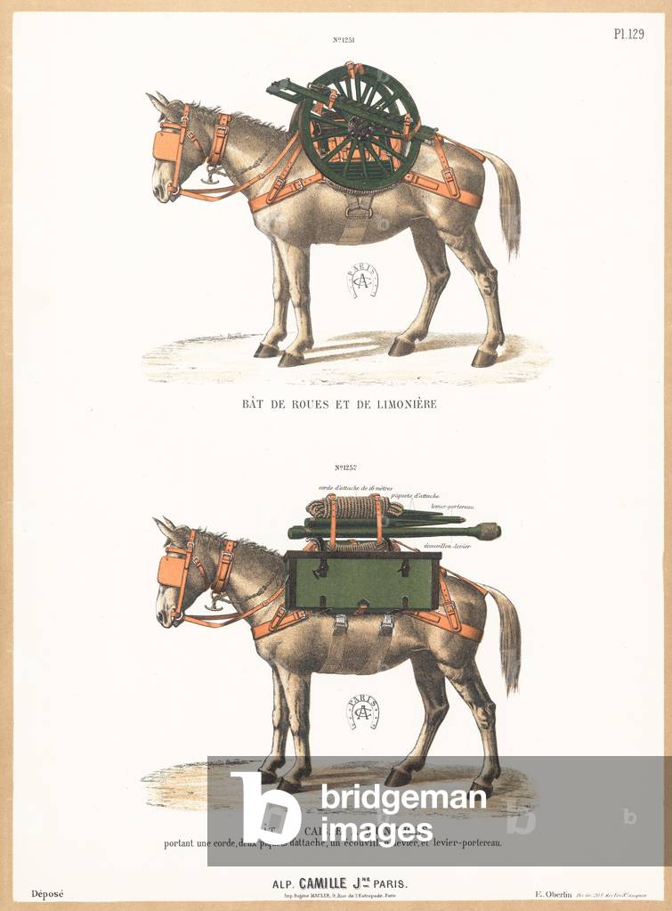 Donkeys wearing saddles (chromolitho)