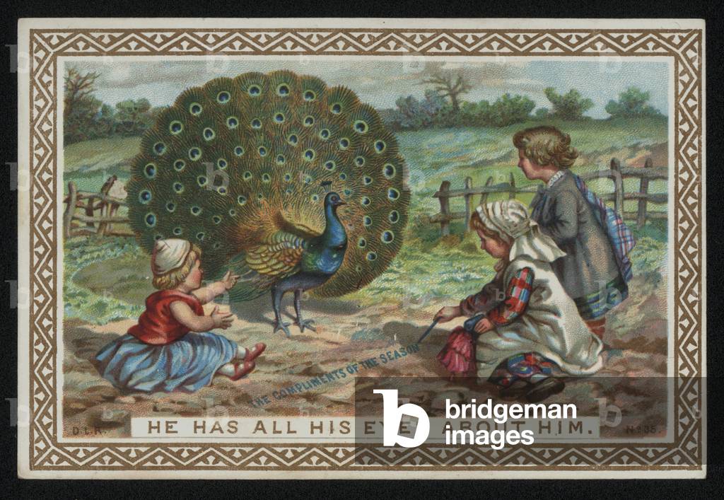 Children with a peacock displaying its feathers, Christmas greetings card. (chromolitho)