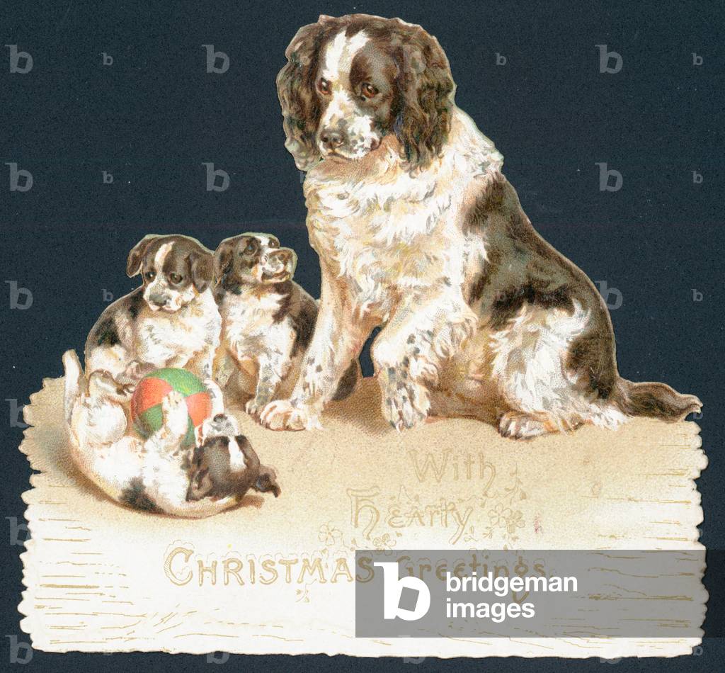 Dog and Puppies, Christmas Card (chromolitho)