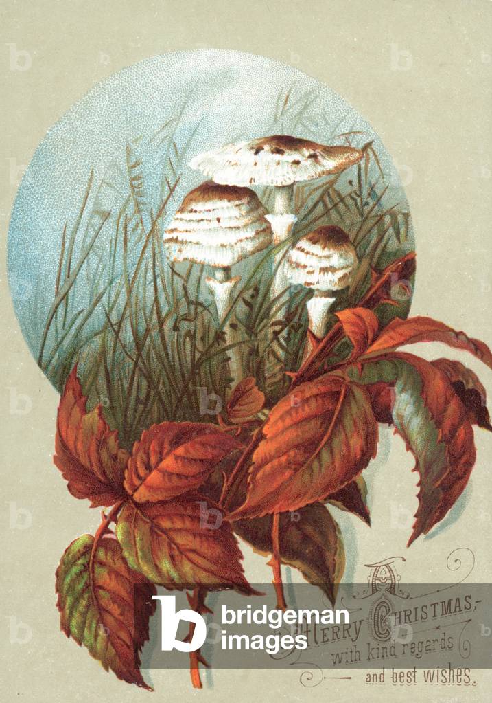 Mushrooms and Leaves, Christmas Card (chromolitho)