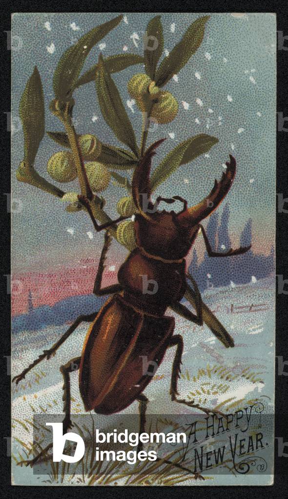 Stag beetle carrying mistletoe in a wintry scene, Christmas greetings card (chromolitho)