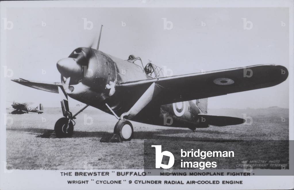 The Brewster Buffalo, Mid-wing monoplane fighter, Wright Cyclone 9 Cyclinder Radial Air-Cooled Engine (b/w photo)