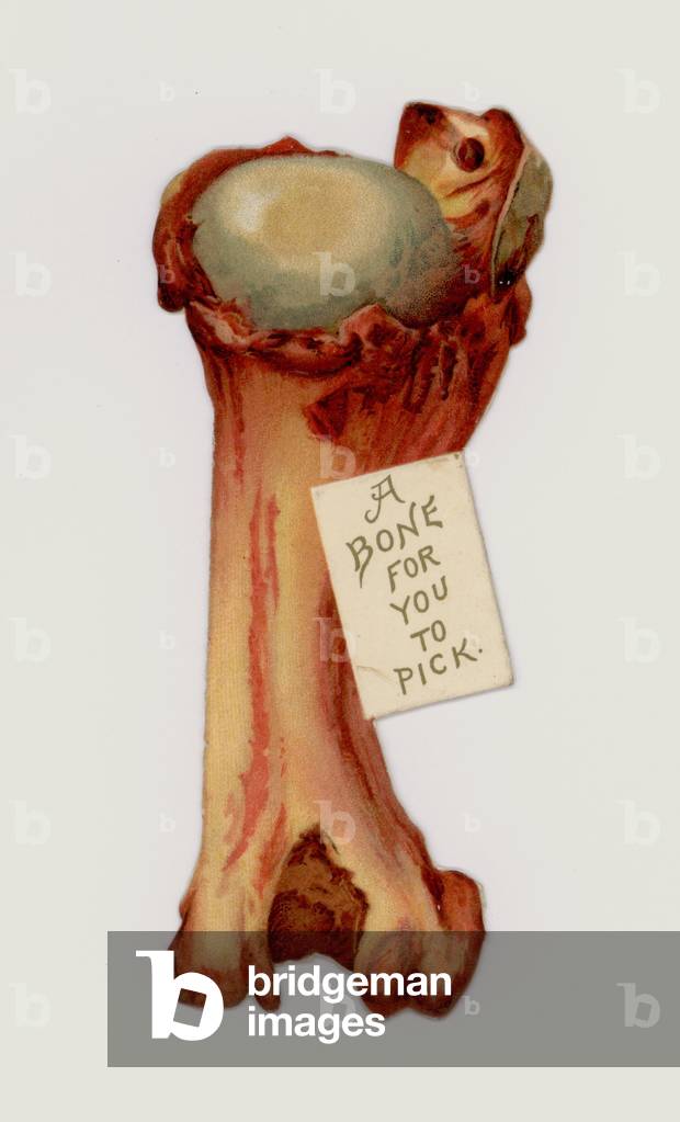 A bone for you to pick (chromolitho)