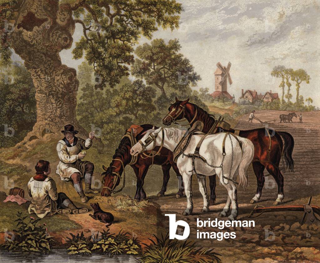 English farmers ploughing (coloured engraving)